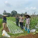 Bhabinkamtibmas Desa Mekarjadi Dukung Program ASTA CITA di Bidang Ketahanan Pangan