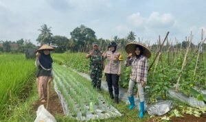Bhabinkamtibmas Desa Mekarjadi Dukung Program ASTA CITA di Bidang Ketahanan Pangan