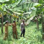 Bhabinkamtibmas Desa Salakaria Dukung Program ASTA CITA di Bidang Ketahanan Pangan