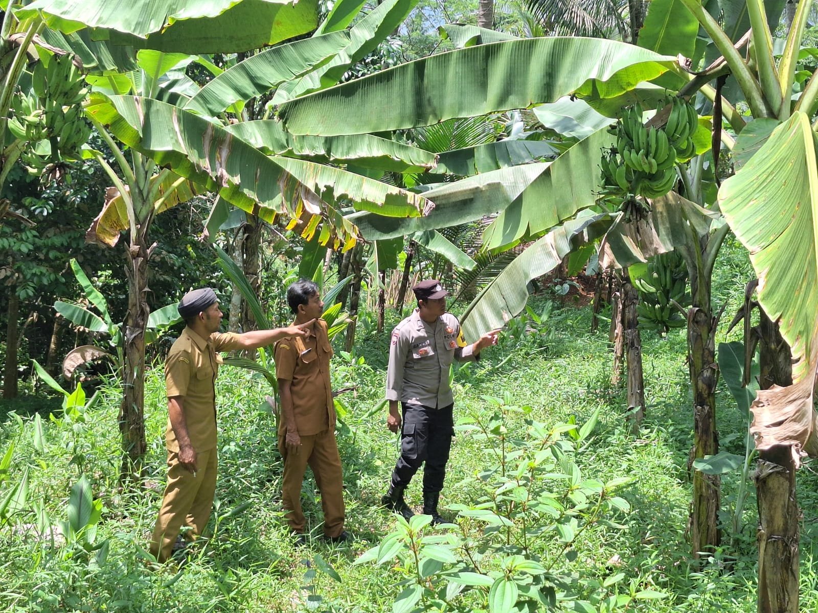 Bhabinkamtibmas Desa Salakaria Dukung Program ASTA CITA di Bidang Ketahanan Pangan