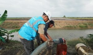 1Dukung Tranformasi Pertanian Modern, Electrifying Agriculture PLN Raih 53.539 Pelanggan Baru di Tahun 2024 Dukung Tranformasi Pertanian Modern, Electrifying Agriculture PLN Raih 53.539 Pelanggan Baru di Tahun 2024