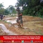 Babinsa Palangka Koramil-05/Sinjai Selatan Kodim 1424/Sinjai Bantu Pengolahan Lahan Milik Petani