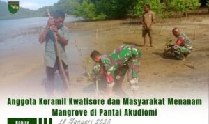 Anggota Koramil Kwatisore dan Masyarakat Menanam Mangrove di Pantai Akudiomi