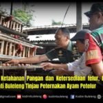 Dukung Ketahanan Pangan dan Ketersediaan telur, Dandim dan PJ. Bupati Buleleng Tinjau Peternakan Ayam Petelur