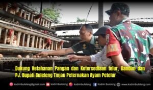 Dukung Ketahanan Pangan dan Ketersediaan telur, Dandim dan PJ. Bupati Buleleng Tinjau Peternakan Ayam Petelur