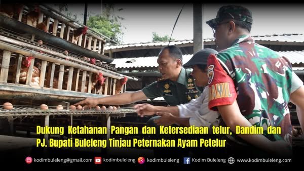 Dukung Ketahanan Pangan dan Ketersediaan telur, Dandim dan PJ. Bupati Buleleng Tinjau Peternakan Ayam Petelur