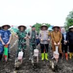 Pangdivif 3 Kostrad Dukung Ketahanan Pangan Lewat Penanaman Jagung Serentak di Jeneponto