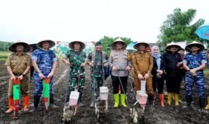 Pangdivif 3 Kostrad Dukung Ketahanan Pangan Lewat Penanaman Jagung Serentak di Jeneponto