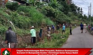 Cegah Perkembangan Bibit Penyakit, Babinsa Duampanuae Koramil 01/Bulupoddo Kodim 1424/Sinjai Gelar Karya Bakti Pembersihan Parit