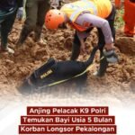 Polri Melalui Unit K9 Dit Samapta Polda Jateng Berhasil Temukan Jenazah Balita Korban Longsor di Pekalongan