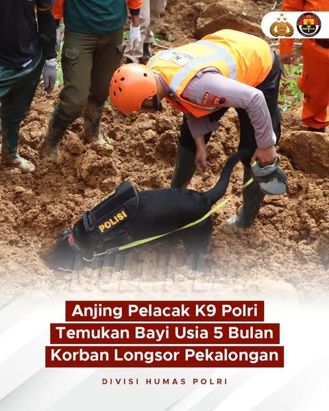 Polri Melalui Unit K9 Dit Samapta Polda Jateng Berhasil Temukan Jenazah Balita Korban Longsor di Pekalongan
