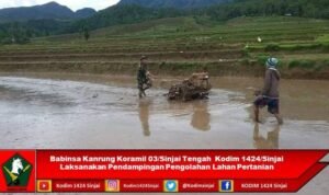 Babinsa Kanrung Koramil 03/Sinjai Tengah Kodim 1424/Sinjai Laksanakan Pendampingan Pengolahan Lahan Pertanian