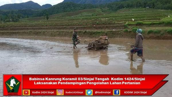 Babinsa Kanrung Koramil 03/Sinjai Tengah Kodim 1424/Sinjai Laksanakan Pendampingan Pengolahan Lahan Pertanian