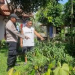 Dukung Asta Cita Presiden RI Polsek Cikoneng Ajak Warga Buat Pekarangan Rumah Jadi Produktif