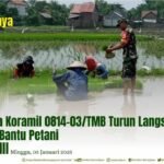 BABINSA KORAMIL 0814-03/TMB TURUN LANGSUNG KE SAWAH BANTU PETANI