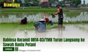 BABINSA KORAMIL 0814-03/TMB TURUN LANGSUNG KE SAWAH BANTU PETANI