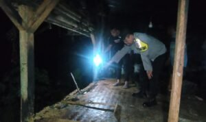 Hampir Bersamaan, Dua Kandang Ayam Petelur Warga Citereup Terbakar