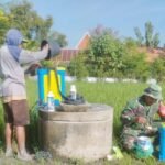 Babinsa Koramil 11/Jati Lakukan Pendampingan Penyemprotan Tanaman Padi