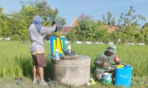 Babinsa Koramil 11/Jati Lakukan Pendampingan Penyemprotan Tanaman Padi