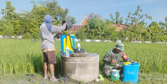 Babinsa Koramil 11/Jati Lakukan Pendampingan Penyemprotan Tanaman Padi