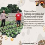 Bhabinkamtibmas Kampung Wiraska Ajak Warga Manfaatkan Lahan Pekarangan untuk Pertanian.