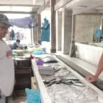 Tinjau Hasil Tangkapan Nelayan