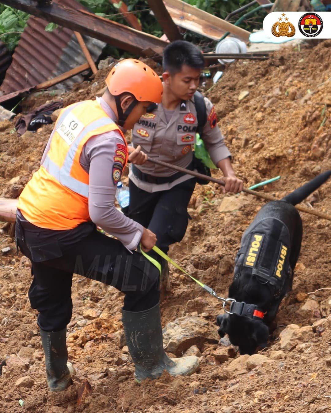 Polri Melalui Unit K9 Dit Samapta Polda Jateng Berhasil Temukan Jenazah Balita Korban Longsor di Pekalongan