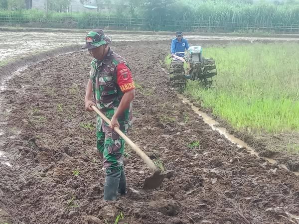 Babinsa Palangka Koramil 05/Sinjai Selatan Kodim 1424/Sinjai Dampingi Petani Olah Lahan Pertanian