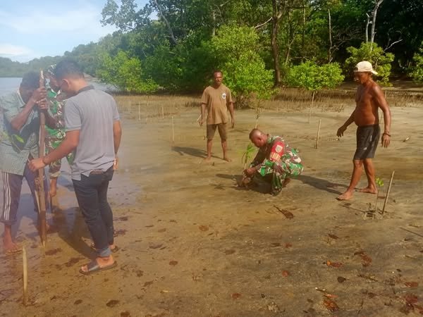 Anggota Koramil Kwatisore dan Masyarakat Menanam Mangrove di Pantai Akudiomi