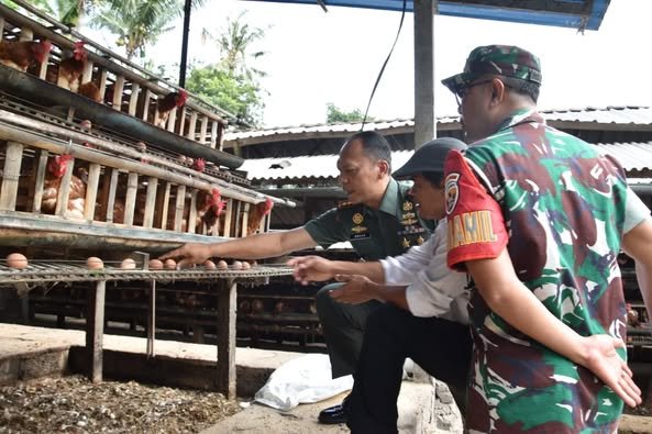 Dukung Ketahanan Pangan dan Ketersediaan telur, Dandim dan PJ. Bupati Buleleng Tinjau Peternakan Ayam Petelur