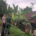 Kesiapsiagaan Bencana, Polsek Cijeungjing Polres Ciamis Bantu Evakuasi Rumah Warga Tertimpa Pohon