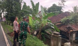 Kesiapsiagaan Bencana, Polsek Cijeungjing Polres Ciamis Bantu Evakuasi Rumah Warga Tertimpa Pohon