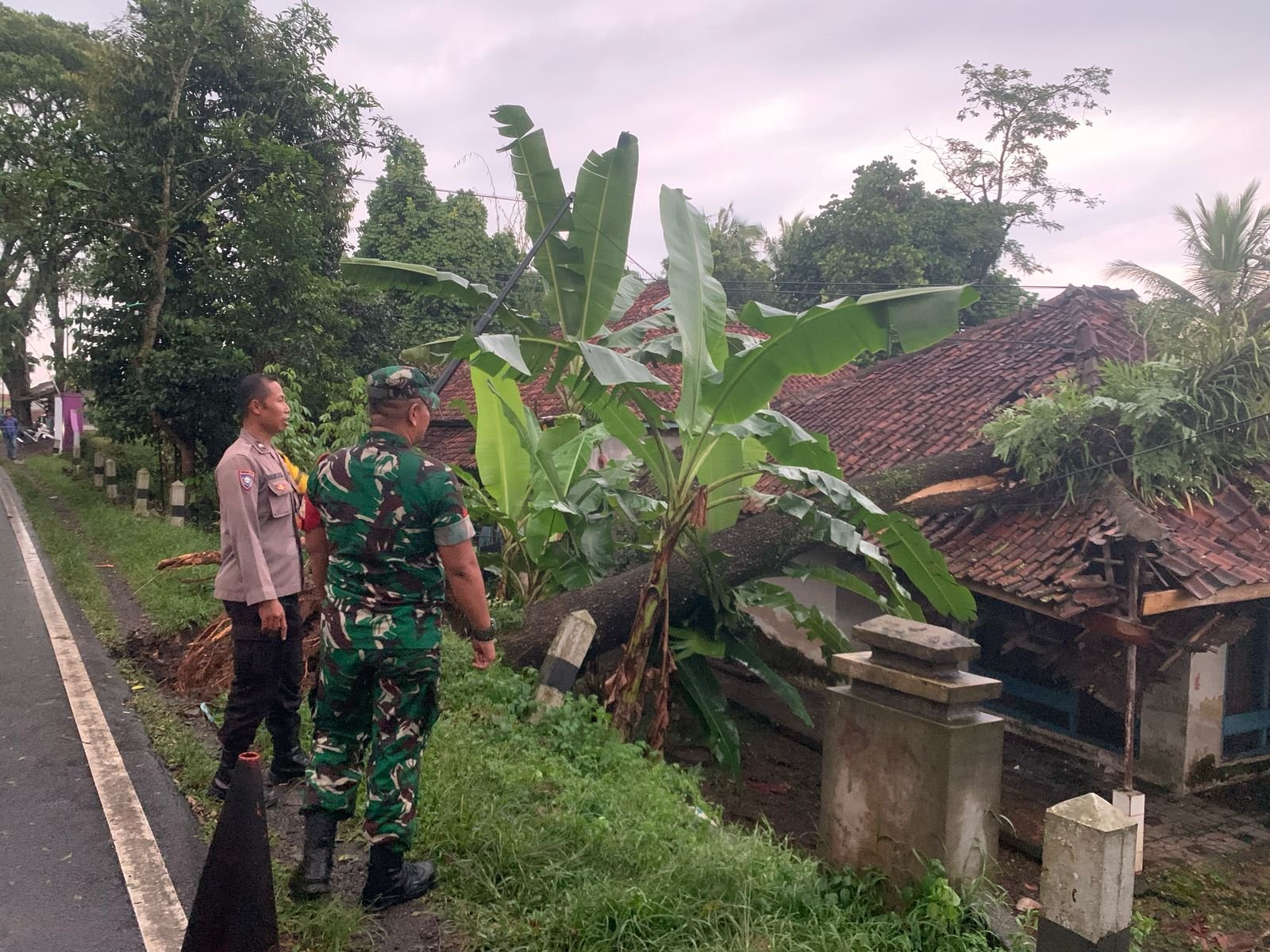 Kesiapsiagaan Bencana, Polsek Cijeungjing Polres Ciamis Bantu Evakuasi Rumah Warga Tertimpa Pohon