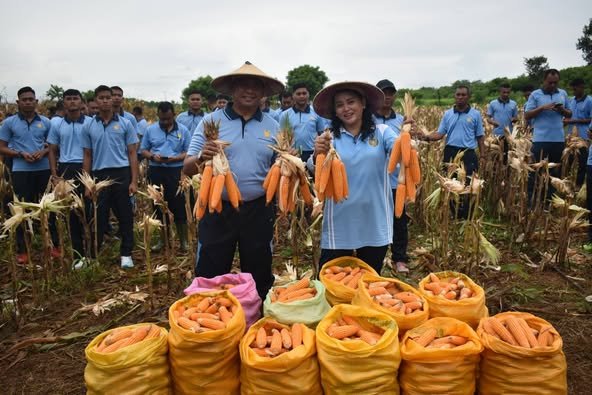 Ketahanan Pangan Nasional, Lanud El Tari Panen Jagung