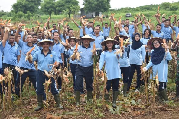 Ketahanan Pangan Nasional, Lanud El Tari Panen Jagung