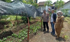 Dukung Asta Cita, Polsek Kawali Polres Ciamis Ajak Pendamping Desa Jatinagara Buat Lahan Produktif