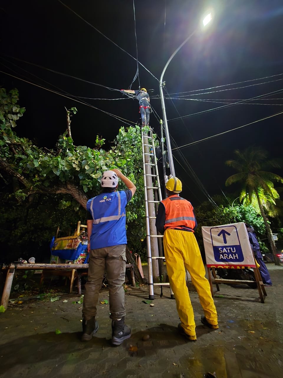 Penormalan Konstruksi Jaringan Ketenagalistrikan PLN Terdampak Akibat Tertimpa Pohon