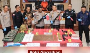 Personel Gabungan Gagalkan Penyelundupan Senpi untuk KKB di Puncak Jaya