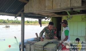 Kegiatan komsos Koramil 1806-01/Bintuni.