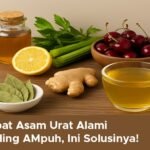 Obat Asam Urat Alami Paling Ampuh, Ini Solusinya!