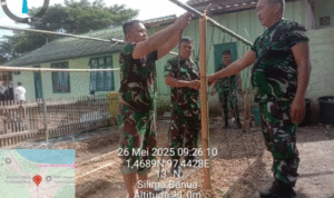 Koramil 06/Thb Lanjutkan Perawatan Lahan Hanpang di Makoramil Tuhemberua