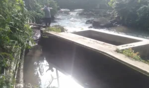 Bendungan Cilamatan Jebol, 20 Hektare Sawah Terancam Gagal Tanam: Petani Mendesak Perbaikan Darurat